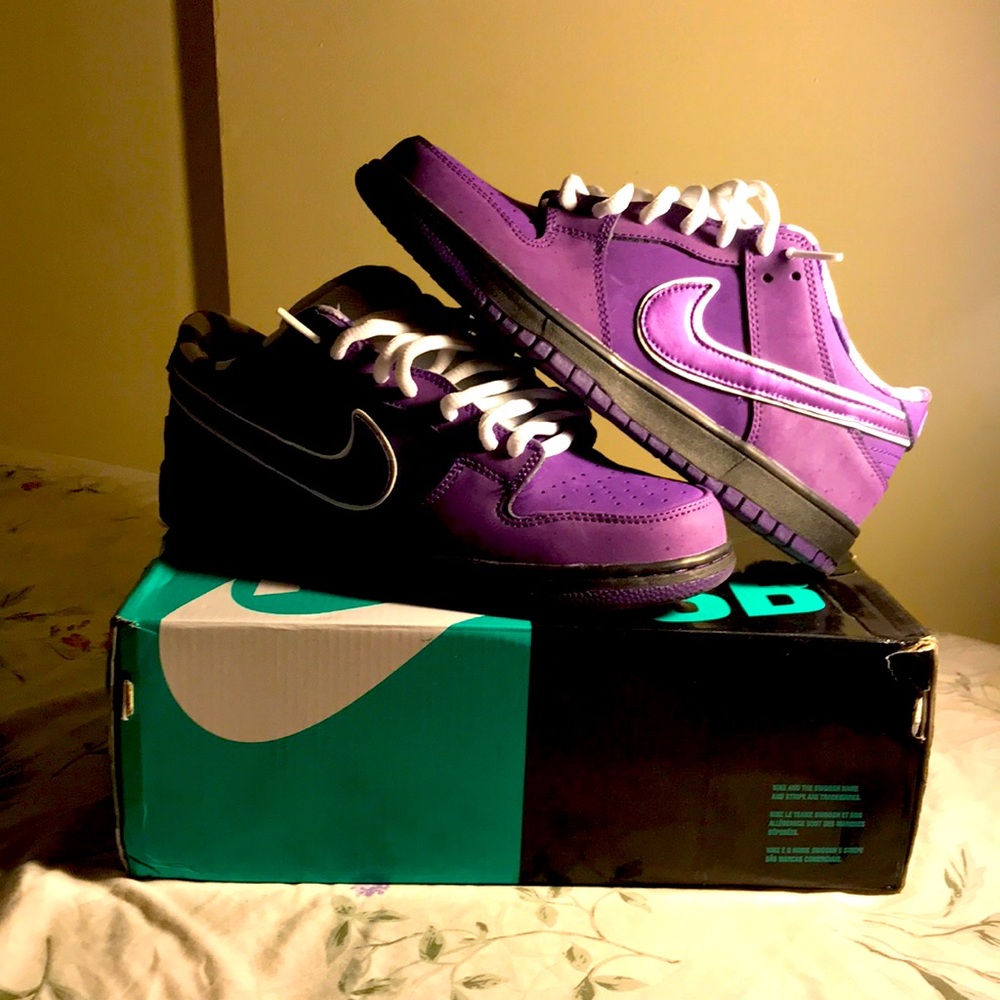 Sb purple lobster